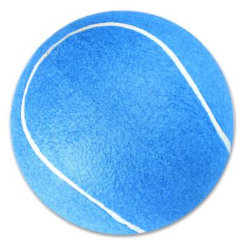 蓝网球